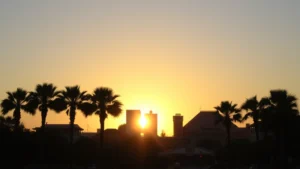 Sunrise over Orlando theme park skyline with palm trees silhouetted against golden sky, clear morning light, no text or signs visible